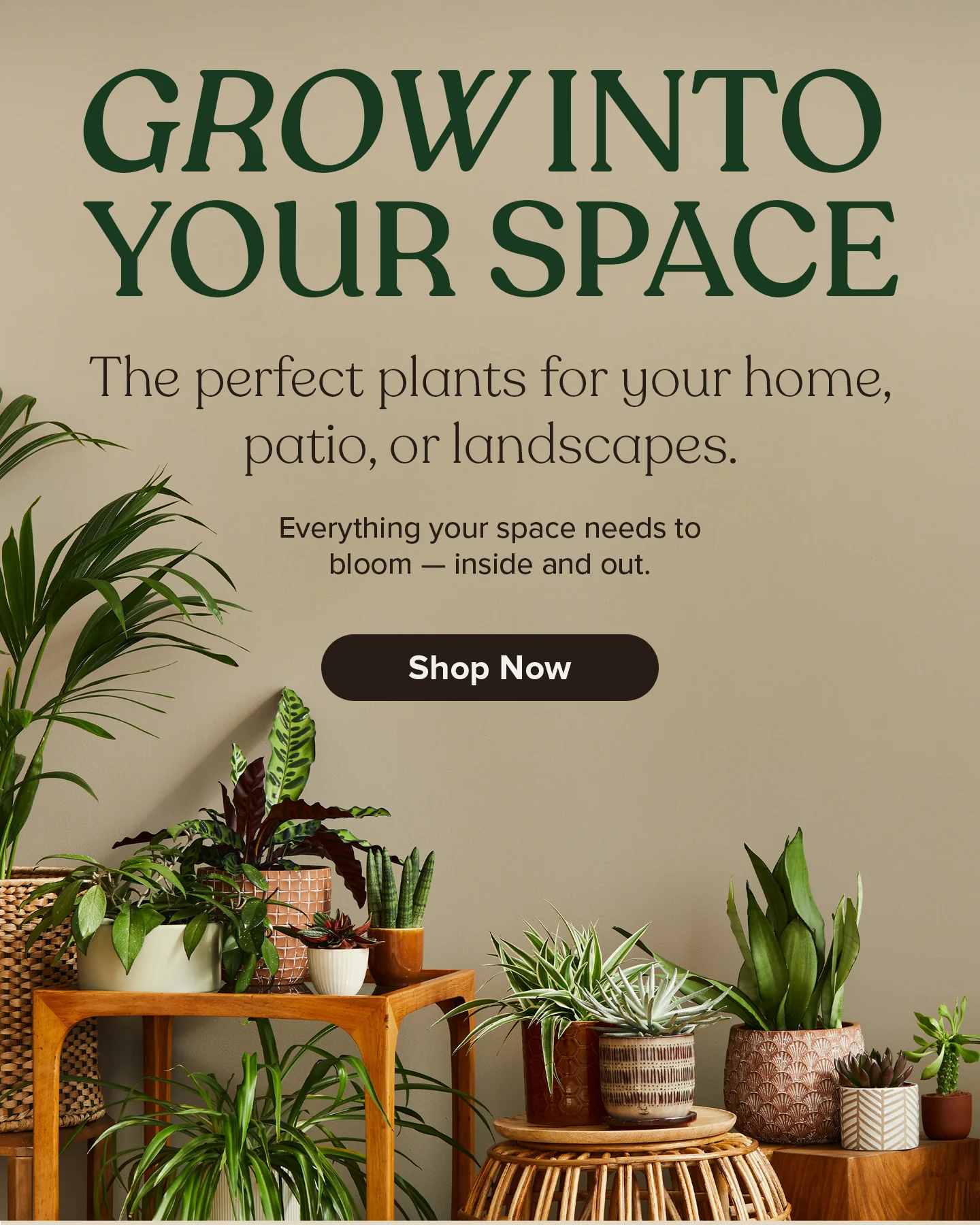Natural Privacy for Your Home