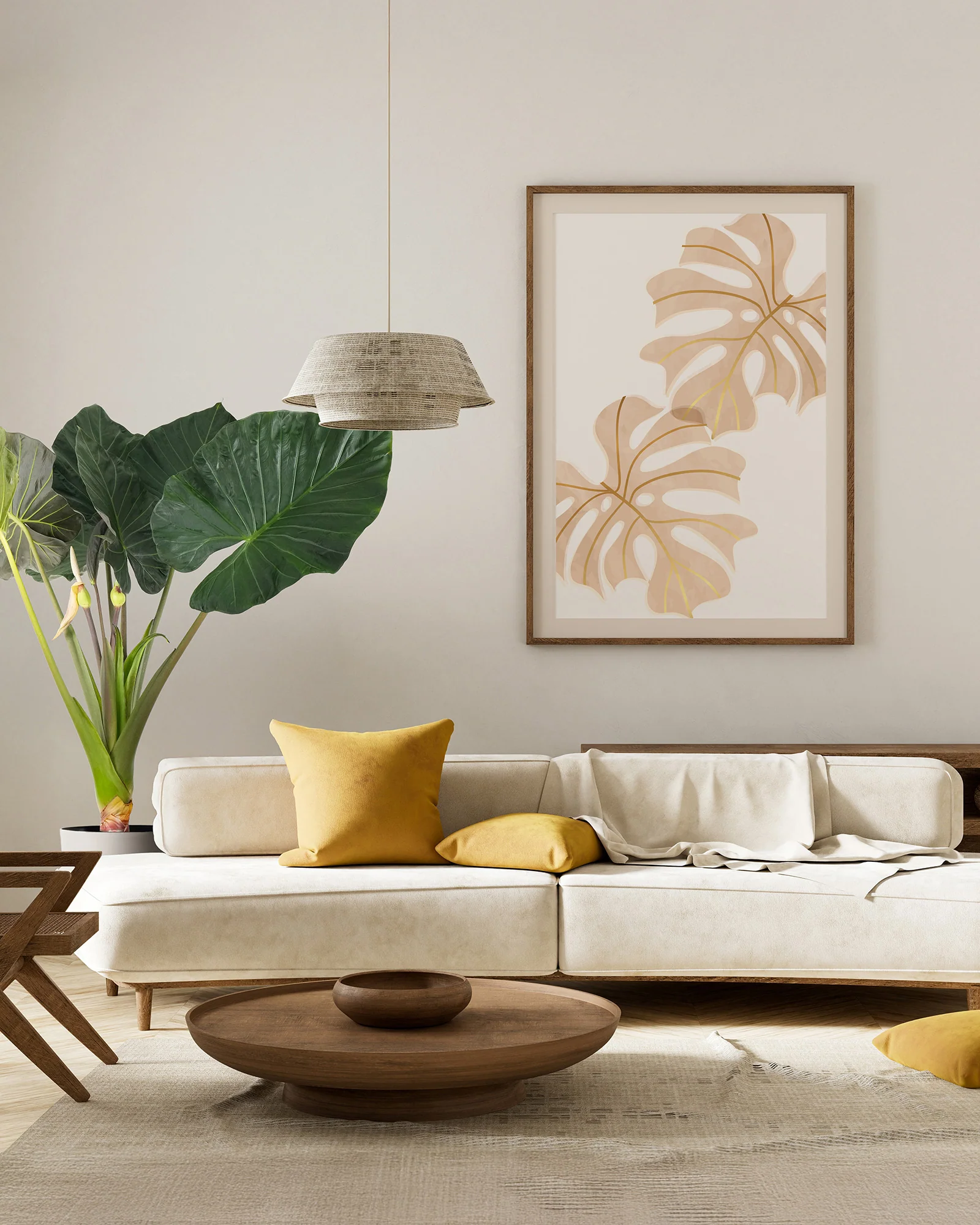 Alocasia Regal Shields - Image 4