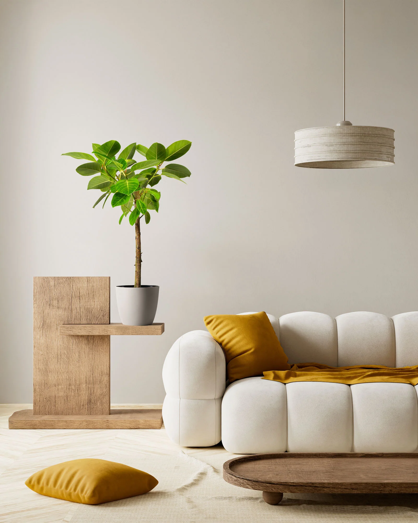 Ficus Altissima Tree Form Single Stem, Variegated Yellow Gem Rubber Tree - Image 3