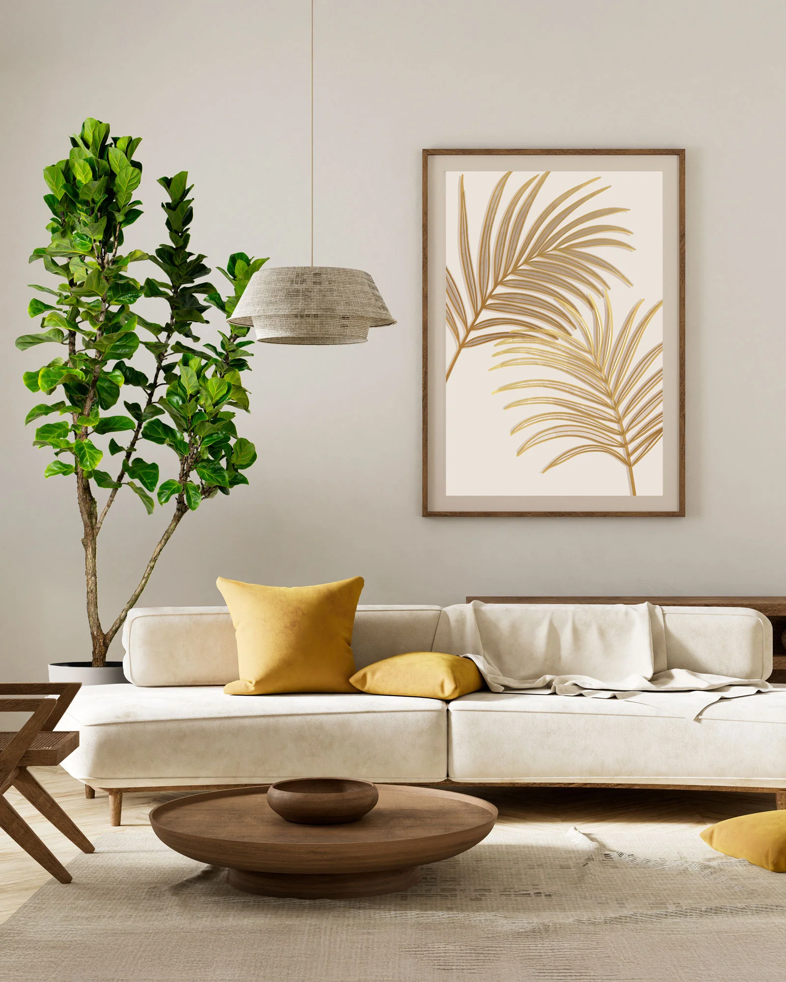 Ficus Bambino Tree Form Single Stem, Fiddle Leaf Fig Tree - Image 3