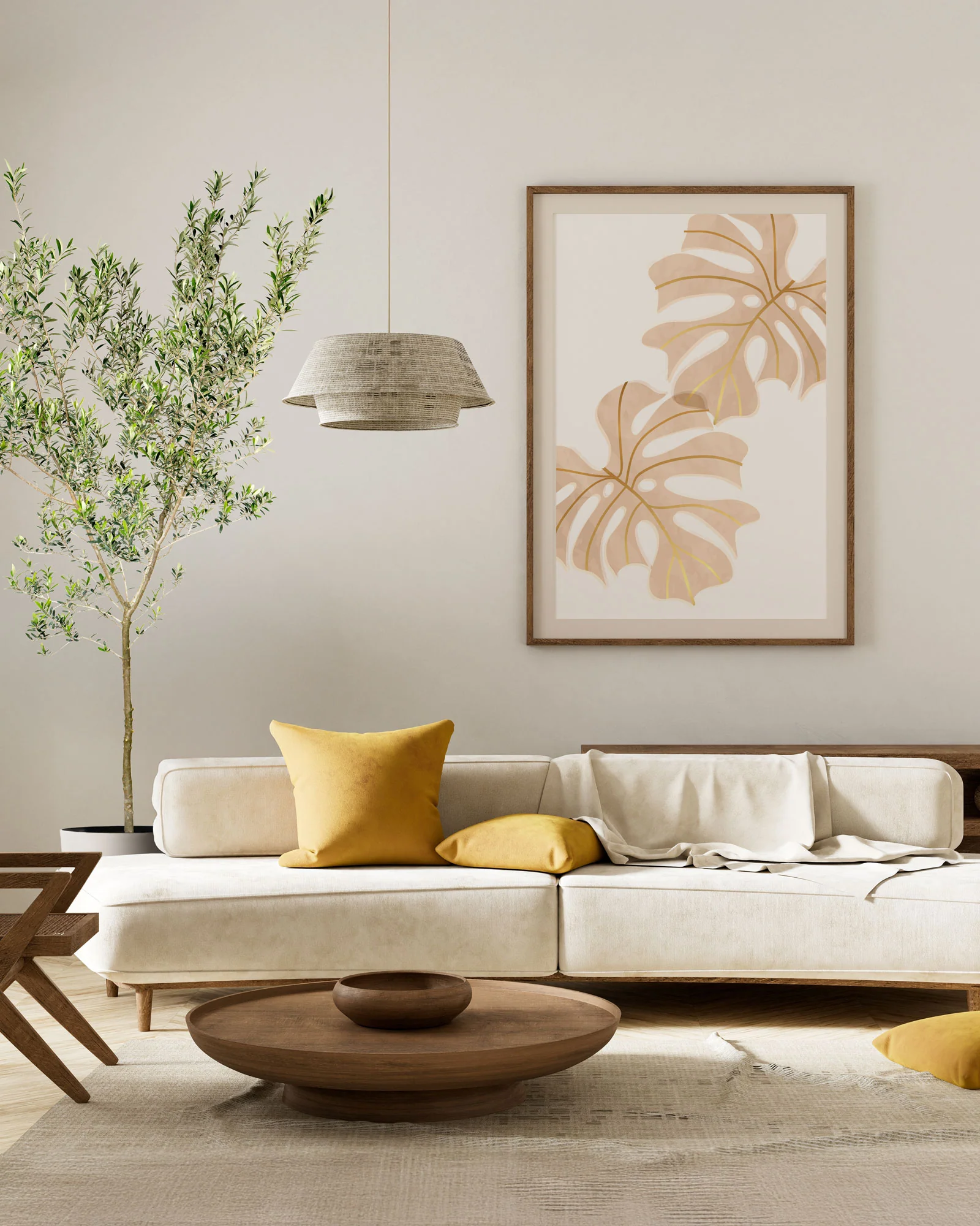 Greek Olive Tree Koroneiki, Olea European Olive - Image 3