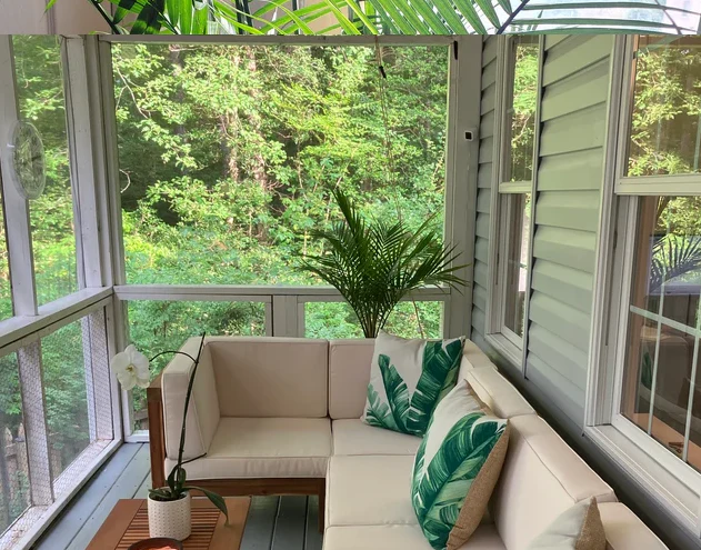 Majesty Palm, Ravenea Rivularis Live Indoor Plant - Image 10