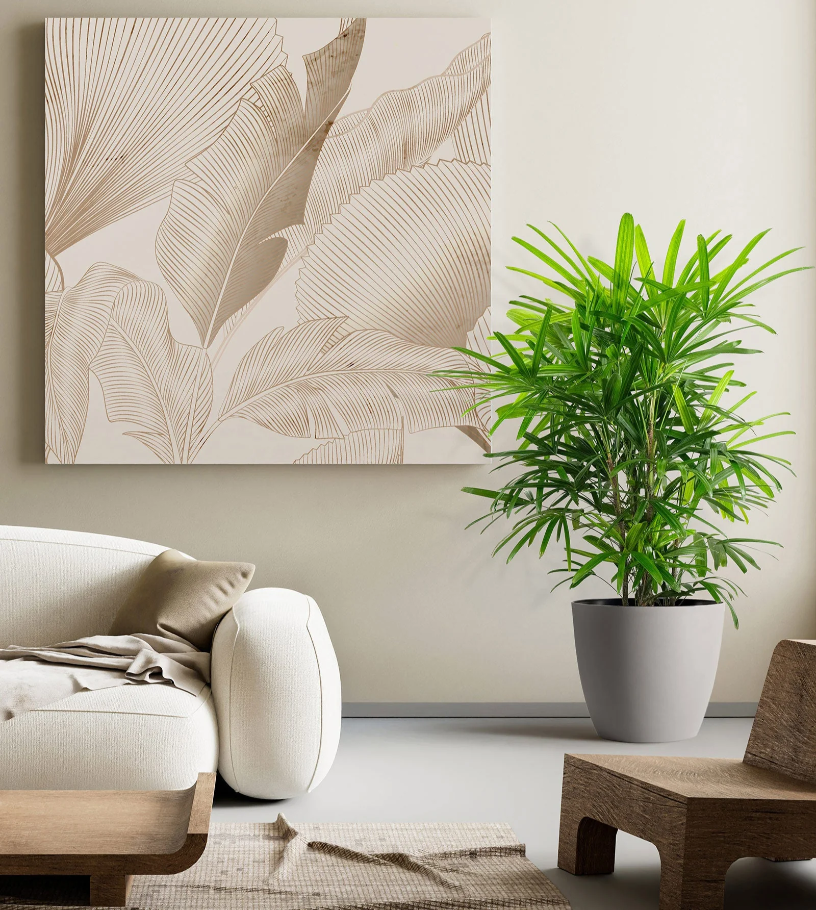 Lady Palm, Rhapis Excelsa, Indoor Queen Palm - Image 5