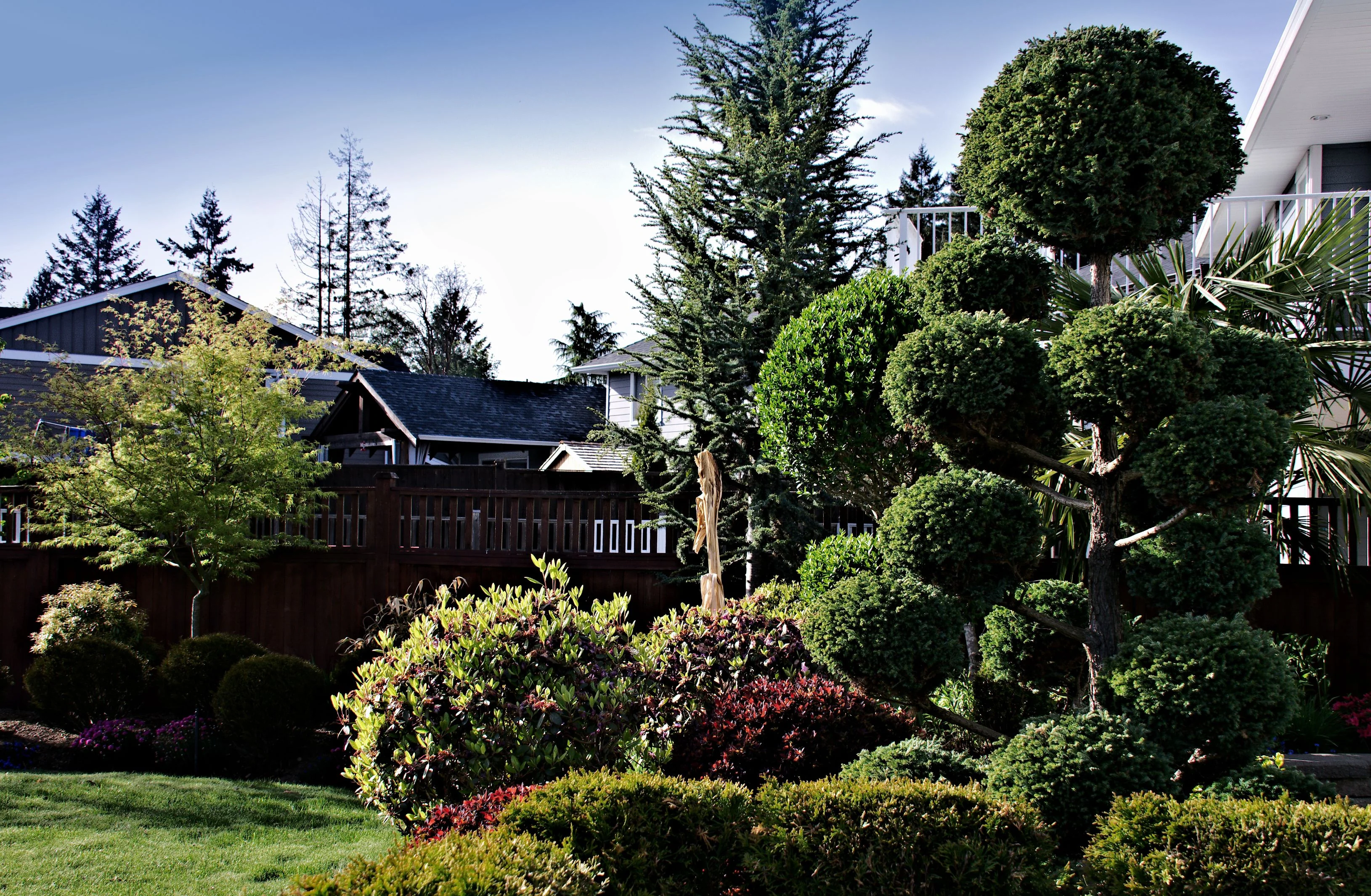 Topiary Eugenia Pom Pom Cosmic Egg Shape - Image 3